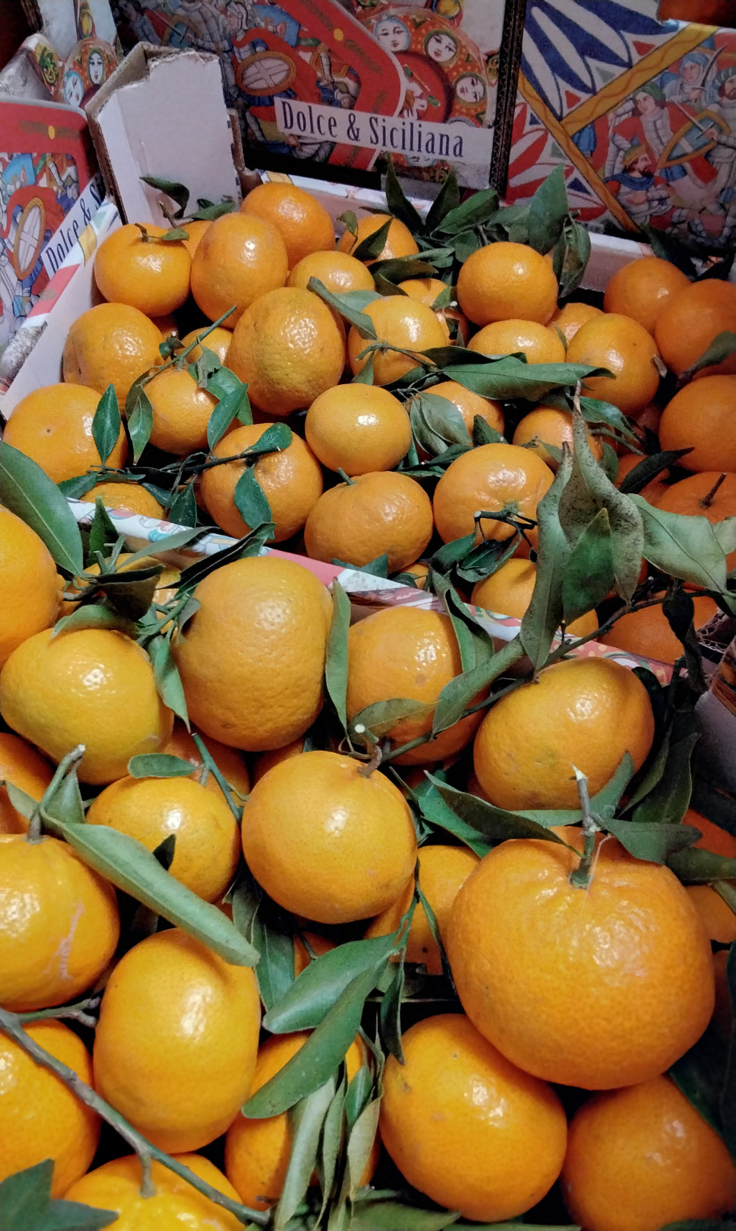 Mandarine de Sicile AOP