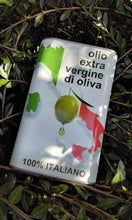 Charger l&#39;image dans la galerie, Huile d&#39;olive extra vierge de Sicile (1l)

